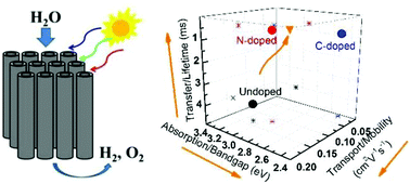 Graphical abstract: Standalone anion- and co-doped titanium dioxide nanotubes for photocatalytic and photoelectrochemical solar-to-fuel conversion