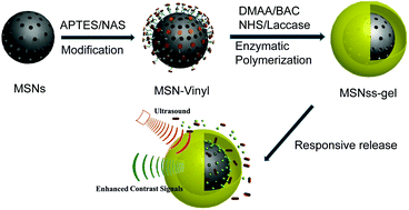 Graphical abstract: Laccase-mediated formation of mesoporous silica nanoparticle based redox stimuli-responsive hybrid nanogels as a multifunctional nanotheranostic agent