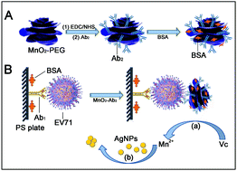 Graphical abstract: Enzyme-free colorimetric determination of EV71 virus using a 3D-MnO2-PEG nanoflower and 4-MBA-MA-AgNPs