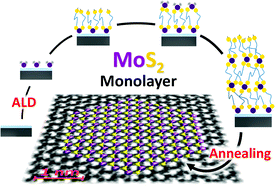 Graphical abstract: A novel 2-step ALD route to ultra-thin MoS2 films on SiO2 through a surface organometallic intermediate