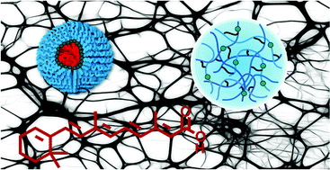 Graphical abstract: Fluorescent polymeric nanovehicles for neural stem cell modulation