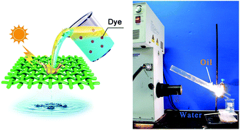 Graphical abstract: In situ dual-functional water purification with simultaneous oil removal and visible light catalysis