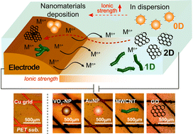 Graphical abstract: Ionic strength induced electrodeposition: a universal approach for nanomaterial deposition at selective areas