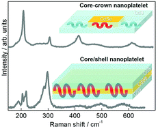 Graphical abstract: Morphology-induced phonon spectra of CdSe/CdS nanoplatelets: core/shell vs. core–crown