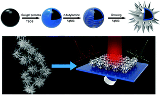 Graphical abstract: Sonochemical synthesis of highly branched flower-like Fe3O4@SiO2@Ag microcomposites and their application as versatile SERS substrates