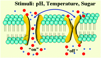 Graphical abstract: A temperature, pH and sugar triple-stimuli-responsive nanofluidic diode