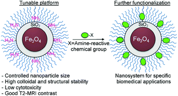Graphical abstract: Partial PEGylation of superparamagnetic iron oxide nanoparticles thinly coated with amine-silane as a source of ultrastable tunable nanosystems for biomedical applications