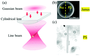 Graphical abstract: Self-propelled round-trip motion of Janus particles in static line optical tweezers
