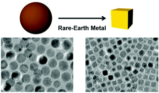 Graphical abstract: Shape-controlled syntheses of metal oxide nanoparticles by the introduction of rare-earth metals