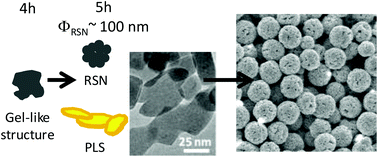Graphical abstract: Synthesis engineering of iron oxide raspberry-shaped nanostructures