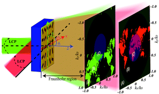 Graphical abstract: Ultrahigh-capacity dynamic holographic displays via anisotropic nanoholes