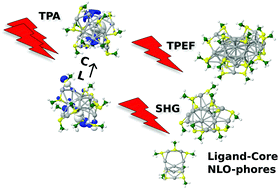 Graphical abstract: Ligand-core NLO-phores: a combined experimental and theoretical approach to the two-photon absorption and two-photon excited emission properties of small-ligated silver nanoclusters