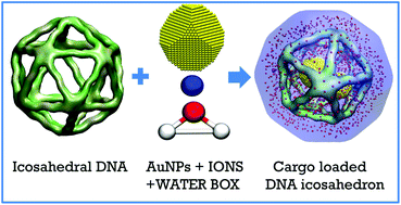 Graphical abstract: Probing the structure and in silico stability of cargo loaded DNA icosahedra using MD simulations