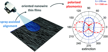Graphical abstract: Spray-assisted alignment of Layer-by-Layer assembled silver nanowires: a general approach for the preparation of highly anisotropic nano-composite films