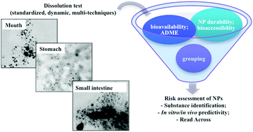 Graphical abstract: Dissolution test for risk assessment of nanoparticles: a pilot study