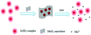 Graphical abstract: A MnO2 nanosheet-assisted GSH detection platform using an iridium(iii) complex as a switch-on luminescent probe