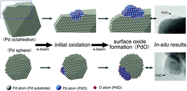Graphical abstract: An In situ TEM study of the surface oxidation of palladium nanocrystals assisted by electron irradiation