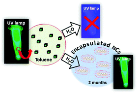Graphical abstract: Color-stable water-dispersed cesium lead halide perovskite nanocrystals