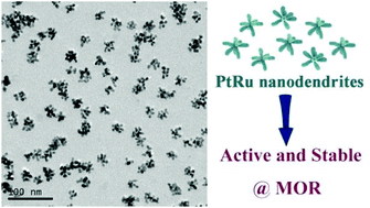 Graphical abstract: One-pot synthesis of PtRu nanodendrites as efficient catalysts for methanol oxidation reaction