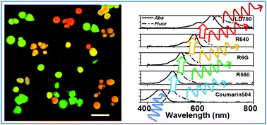 Graphical abstract: Ultrabright fluorescent silica particles with a large number of complex spectra excited with a single wavelength for multiplex applications