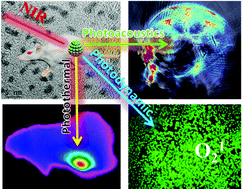 Graphical abstract: MoO3−x quantum dots for photoacoustic imaging guided photothermal/photodynamic cancer treatment