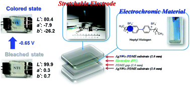 Graphical abstract: Highly transparent AgNW/PDMS stretchable electrodes for elastomeric electrochromic devices