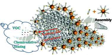 Graphical abstract: Chemiresistive properties regulated by nanoscale curvature in molecularly-linked nanoparticle composite assembly