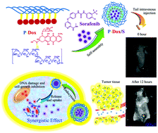 Graphical abstract: Synergistic chemotherapeutic effect of sorafenib-loaded pullulan-Dox conjugate nanoparticles against murine breast carcinoma