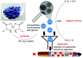 Graphical abstract: Glycine-functionalized copper(ii) hydroxide nanoparticles with high intrinsic superoxide dismutase activity