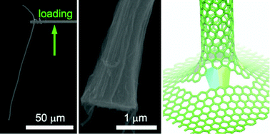 Graphical abstract: In situ mechanical investigation of carbon nanotube–graphene junction in three-dimensional carbon nanostructures