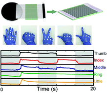 Graphical abstract: Flexible and transparent strain sensors based on super-aligned carbon nanotube films