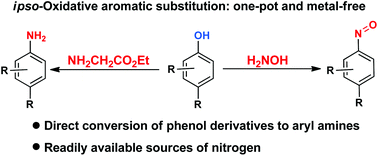 Graphical abstract: Direct synthesis of anilines and nitrosobenzenes from phenols