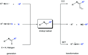 Graphical abstract: Recent progress in imidoyl radical-involved reactions