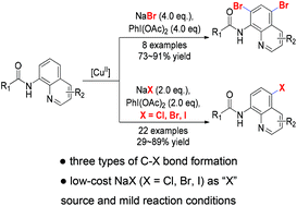Graphical abstract: Copper(ii)-catalyzed C5 and C7 halogenation of quinolines using sodium halides under mild conditions
