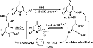 Graphical abstract: New enolate-carbodiimide rearrangement in the concise synthesis of 6-amino-2,3-dihydro-4-pyridinones from homoallylamines