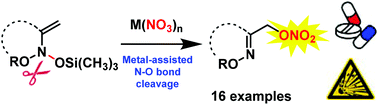 Graphical abstract: Metal-assisted addition of a nitrate anion to bis(oxy)enamines. A general approach to the synthesis of α-nitroxy-oxime derivatives from nitronates