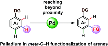 Graphical abstract: Palladium catalysed meta-C–H functionalization reactions
