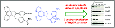 Graphical abstract: Fused imidazoles as potential chemical scaffolds for inhibition of heat shock protein 70 and induction of apoptosis. Synthesis and biological evaluation of phenanthro[9,10-d]imidazoles and imidazo[4,5-f][1,10]phenanthrolines