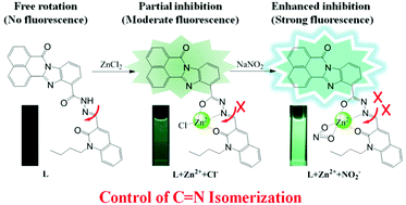Graphical abstract: A fluorescent sensor for Zn2+ and NO2− based on the rational control of C [[double bond, length as m-dash]] N isomerization