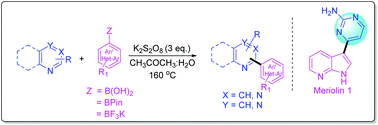 Graphical abstract: Metal free C–H functionalization of diazines and related heteroarenes with organoboron species and its application in the synthesis of a CDK inhibitor, meriolin 1