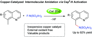 Graphical abstract: Copper-catalyzed intermolecular amidation of 8-methylquinolines with N-fluoroarylsulfonimides via Csp3–H activation