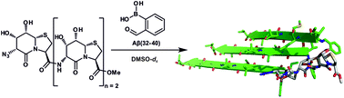 Graphical abstract: Improved δ-valerolactam templates for the assembly of Aβ-miniamyloids by boronic ester formation