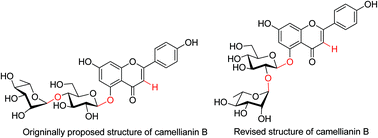 Graphical abstract: Synthetic investigation toward apigenin 5-O-glycoside camellianin B as well as the chemical structure revision