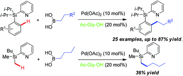 Graphical abstract: Amino acid-promoted C–H alkylation with alkylboronic acids using a removable directing group