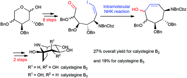 Graphical abstract: Concise synthesis of calystegines B2 and B3via intramolecular Nozaki–Hiyama–Kishi reaction