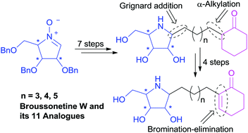 Graphical abstract: First total synthesis of (+)-broussonetine W: glycosidase inhibition of natural product & analogs