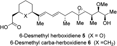 Graphical abstract: Design, synthesis and in vitro splicing inhibition of desmethyl and carba-derivatives of herboxidiene