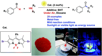 Graphical abstract: BODIPY catalyzed amide synthesis promoted by BHT and air under visible light