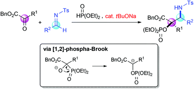 Graphical abstract: Brønsted base-catalyzed three-component coupling reaction of α-ketoesters, imines, and diethyl phosphite utilizing [1,2]-phospha-Brook rearrangement