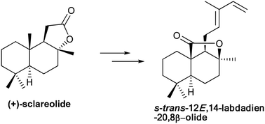 Graphical abstract: Asymmetric synthesis and absolute stereochemistry of a labdane-type diterpenoid isolated from the rhizomes of Isodan yuennanensis